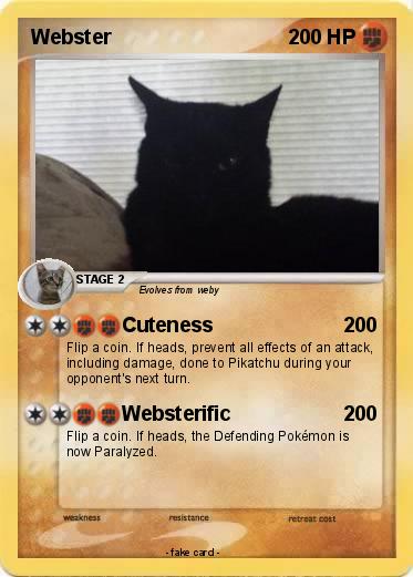 Pokemon Webster