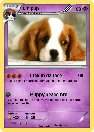 Pokemon Lil' pup