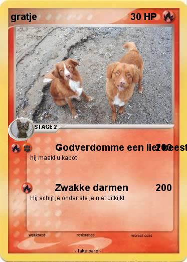 Pokemon gratje