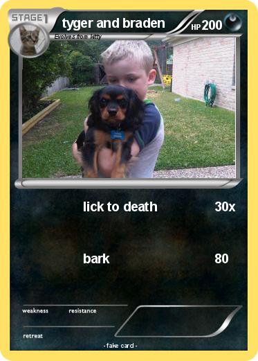 Pokemon tyger and braden