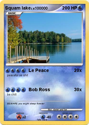 Pokemon Squam lake