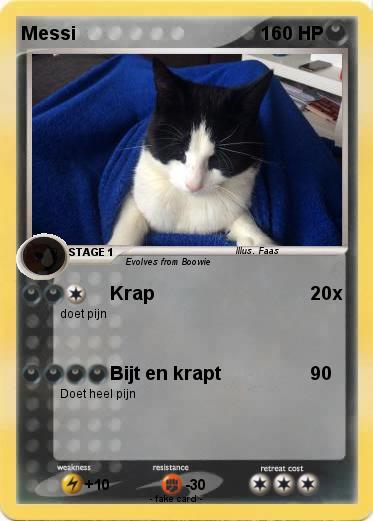 Pokemon Messi