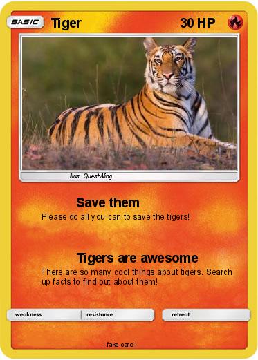 Pokemon Tiger