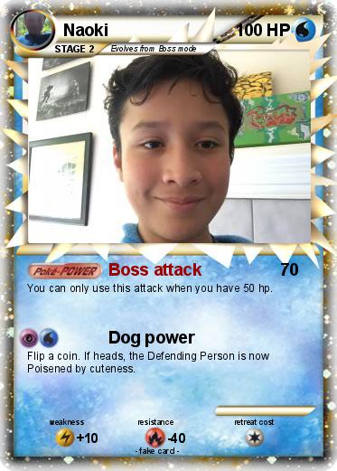 Pokemon Naoki