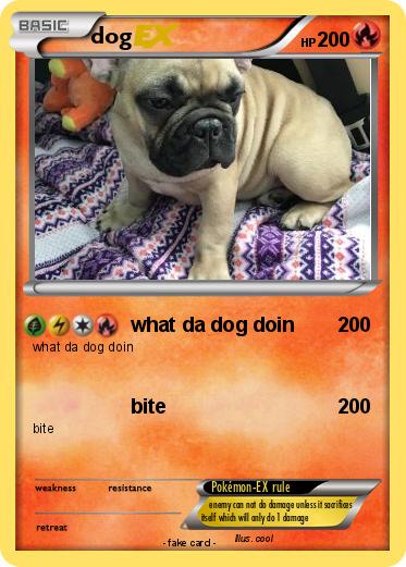 Pokemon dog