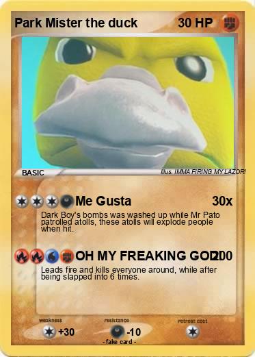 Pokemon Park Mister the duck