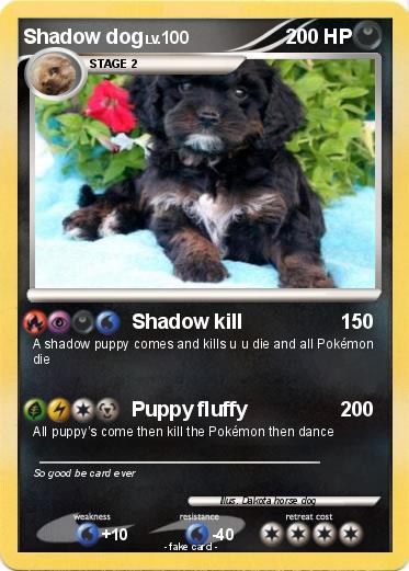 Pokemon Shadow dog