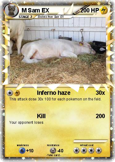 Pokemon M Sam EX