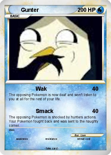 Pokemon Gunter