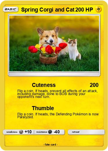 Pokemon Spring Corgi and Cat