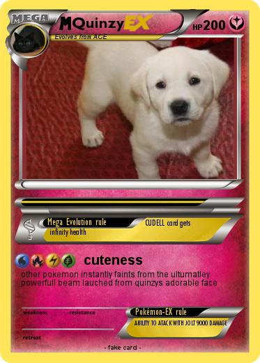Pokemon Quinzy