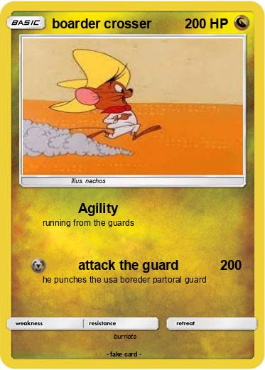 Pokemon boarder crosser