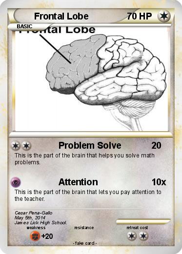 Pokemon Frontal Lobe