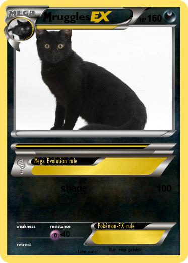 Pokemon ruggles