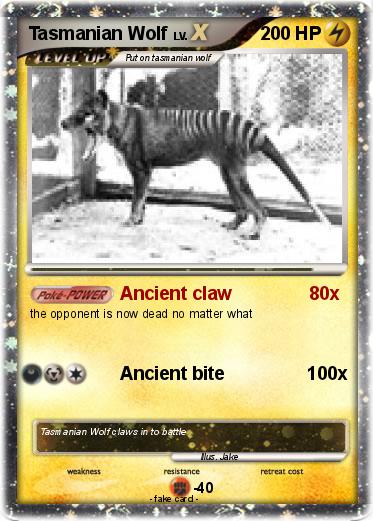 Pokemon Tasmanian Wolf