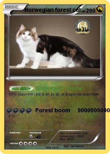 Pokemon Norwegian forest cat