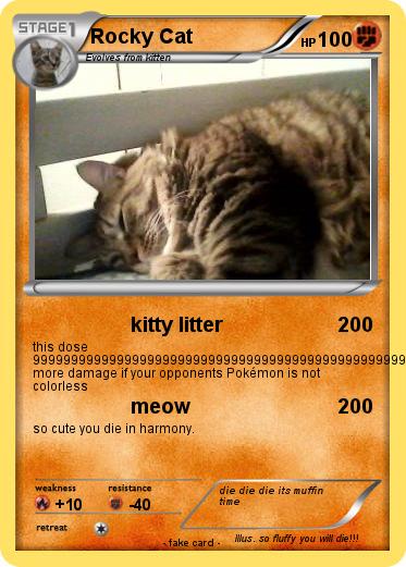 Pokemon Rocky Cat