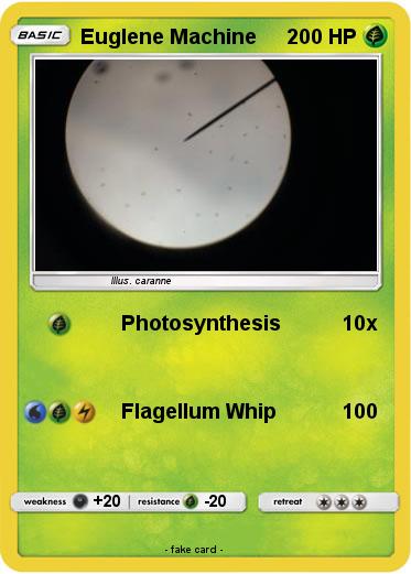 Pokemon Euglene Machine