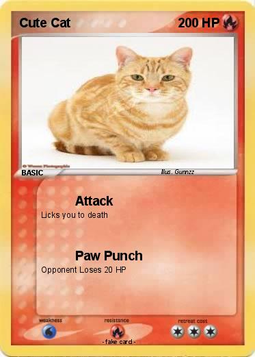 Pokemon Cute Cat