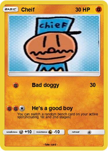 Pokemon Cheif