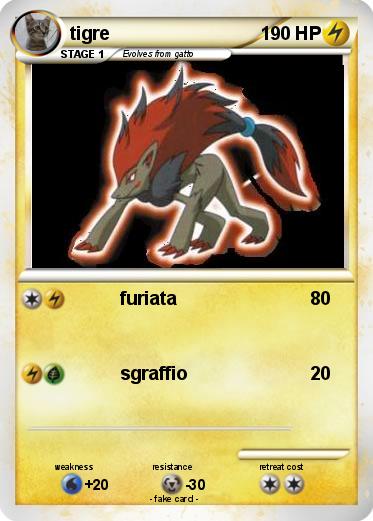 Pokemon tigre