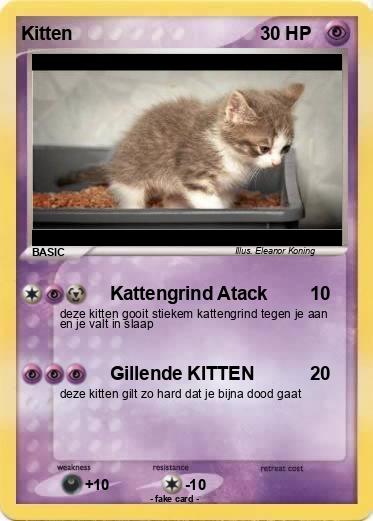 Pokemon Kitten