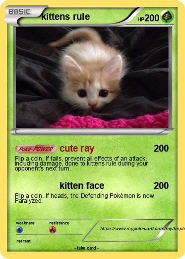 Pokemon kittens rule