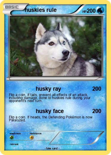 Pokemon huskies rule