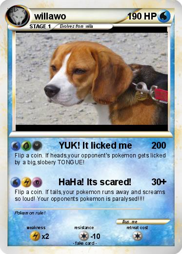 Pokemon willawo