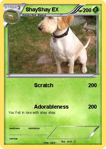 Pokemon ShayShay EX