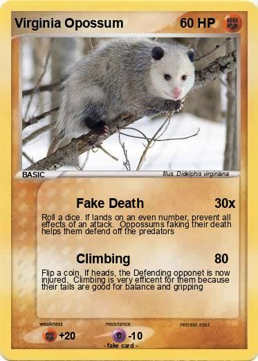 Pokemon Virginia Opossum