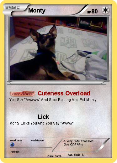 Pokemon Monty