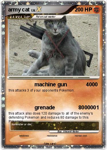 Pokemon army cat