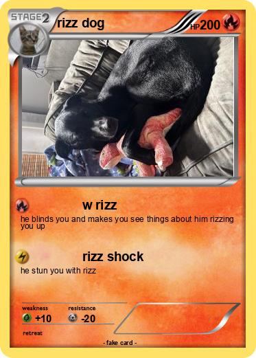 Pokemon rizz dog