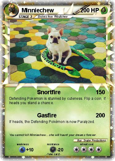 Pokemon Minniechew