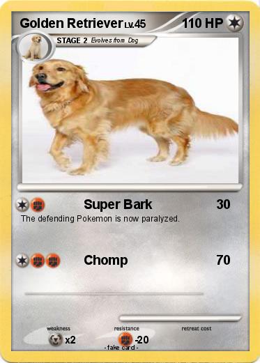 Pokemon Golden Retriever