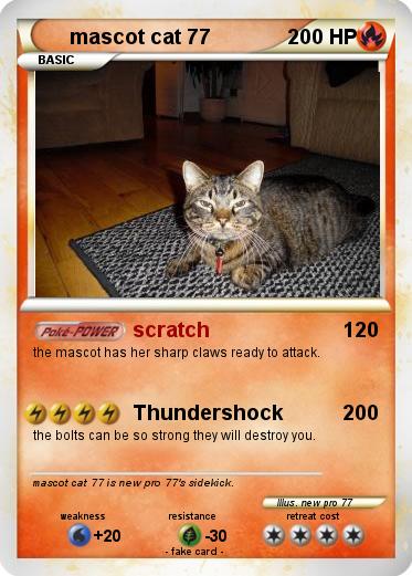 Pokemon mascot cat 77