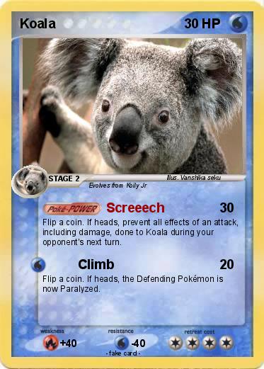 Pokemon Koala