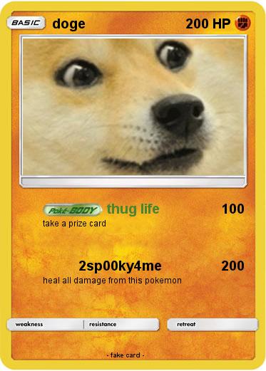 Pokemon doge