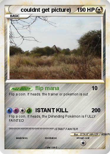 Pokemon couldnt get picture)