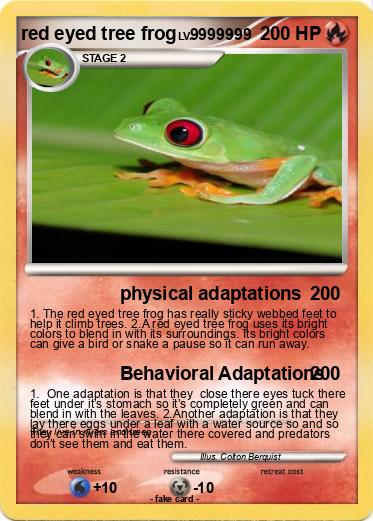 Pokemon red eyed tree frog