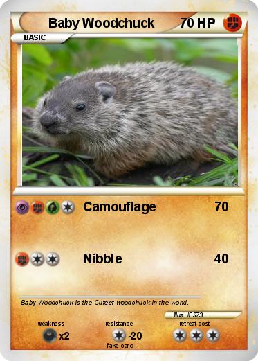 Pokemon Baby Woodchuck
