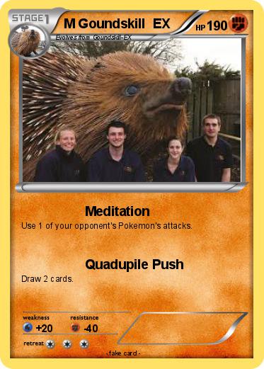 Pokemon M Goundskill  EX