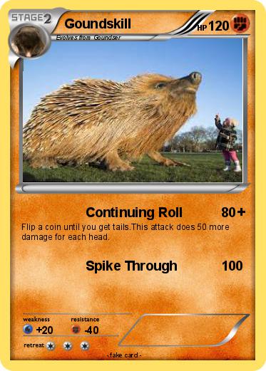 Pokemon Goundskill