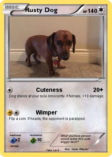 Pokemon Rusty Dog