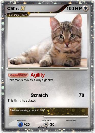 Pokemon Cat