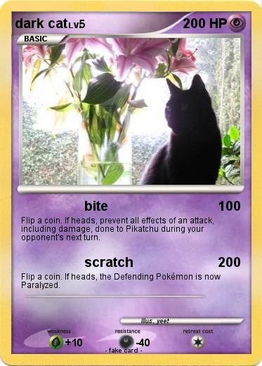 Pokemon dark cat