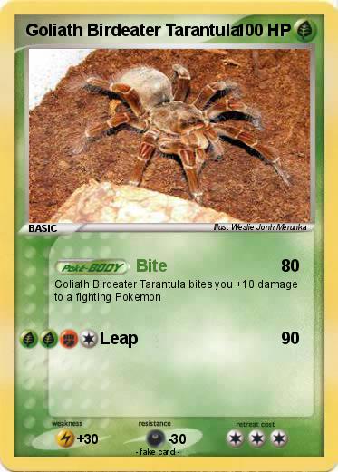 Pokemon Goliath Birdeater Tarantula