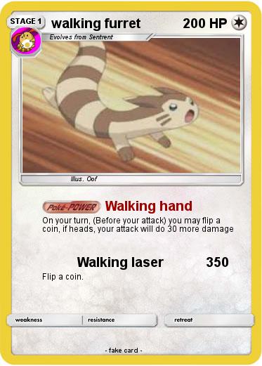 Pokemon walking furret