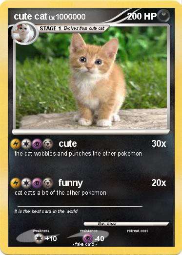 Pokemon cute cat